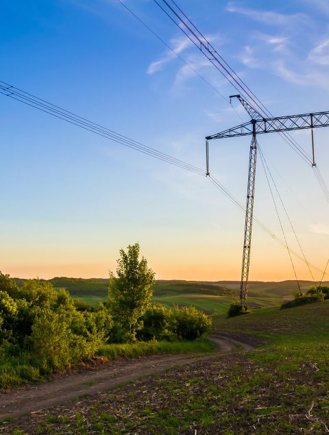 beautiful-wide-panorama-high-voltage-lines-power-pylons-stretching-through-spring-fields-group-green-trees-dawn-sunset-transmission-distribution-electricity-concept